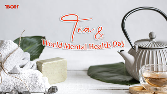 Tea and World Mental Health Day: A Calming Connection with BOH Tea Malaysia